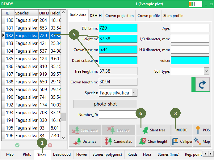 lib:\\Using Main Pole below Slant Tree Top mode-setting fule.png